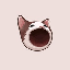 Popcat (SOL).